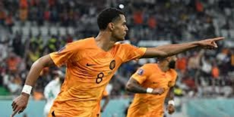 历史意义：非洲足球的新标杆-爱游戏体育