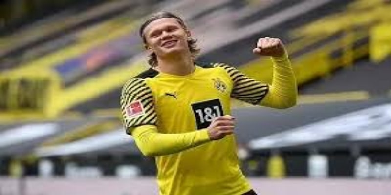 狼队历史与转会亮点-爱游戏体育