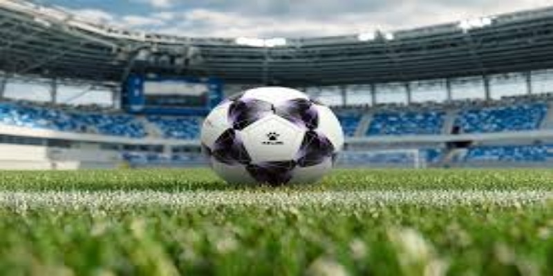 卫冕冠军纽卡斯尔的传奇之路- 爱游戏体育