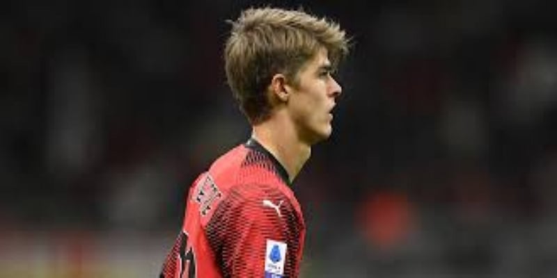 北欧新锐登陆帕克海德：尼格伦职业轨迹与国际表现-爱游戏体育