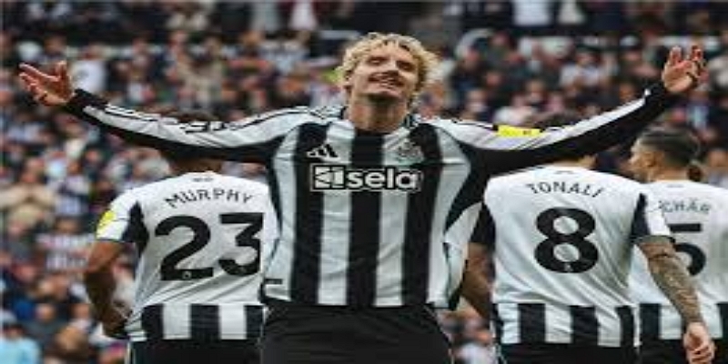 新任主帅怀尔德的挑战与机会-爱游戏体育