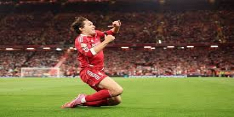 伯恩利能否在帕克带领下重返英超？爱游戏体育解析-爱游戏体育