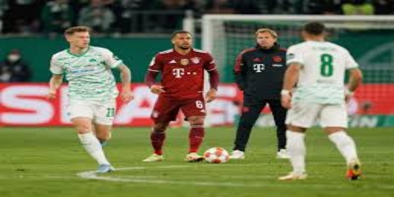 战术熔炉：跨界学习如何成就弗林的独到眼光-爱游戏体育